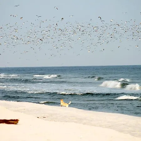 Neuklosterhof App. 06 Pelzerhaken