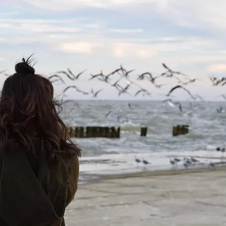 Apartament Neuklosterhof App. 06 Pelzerhaken