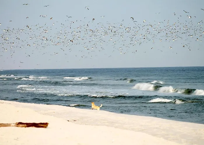 Neuklosterhof App. 06 Pelzerhaken